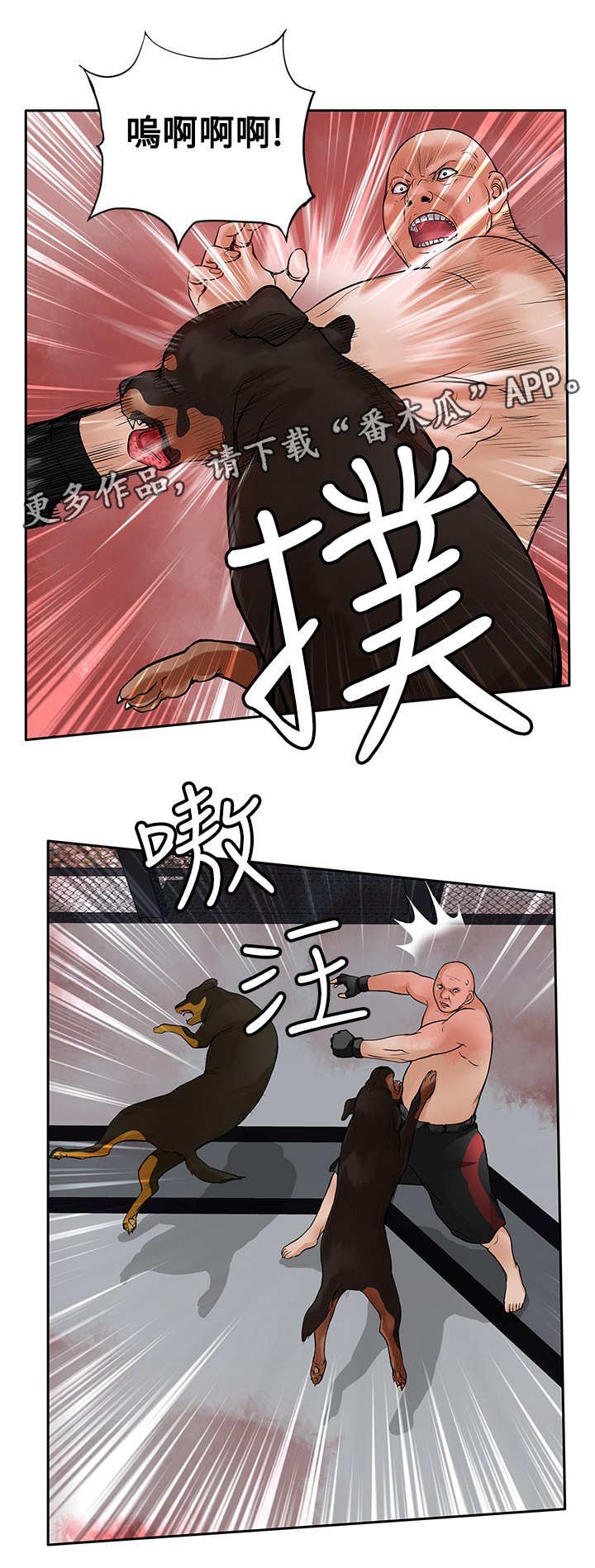 第41章：疯狗