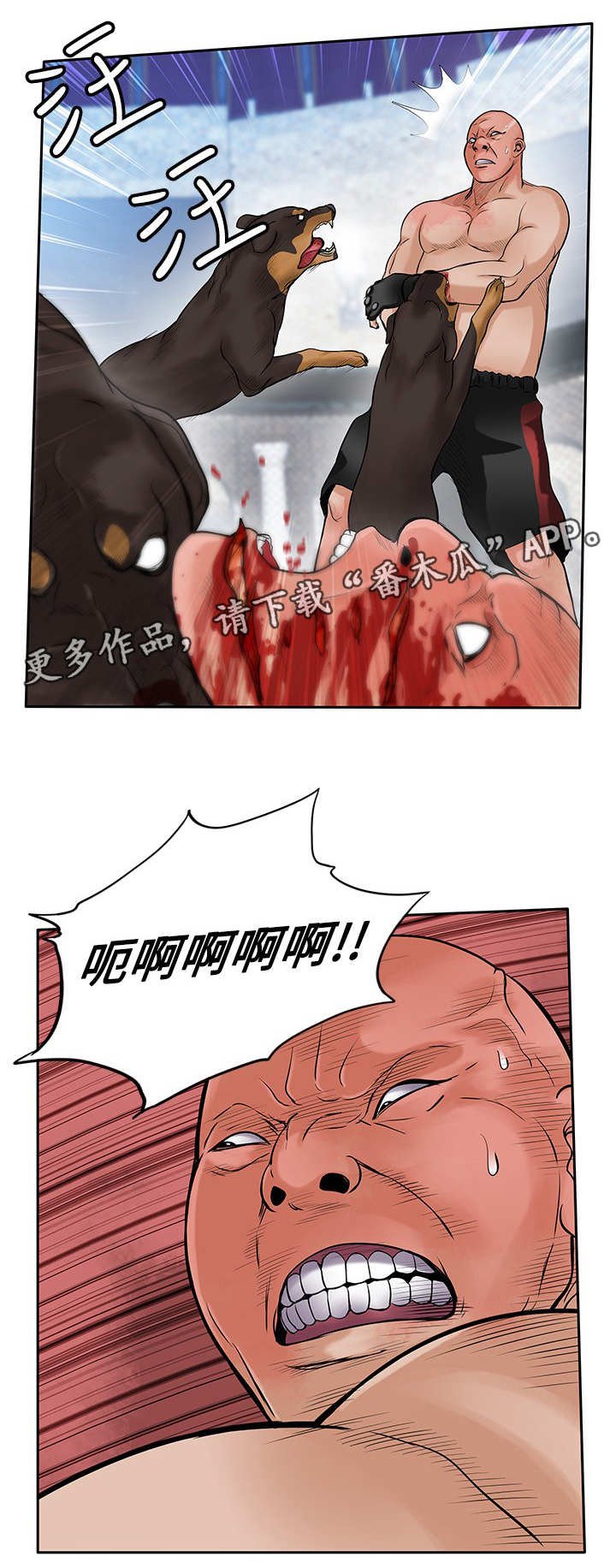 第41章：疯狗