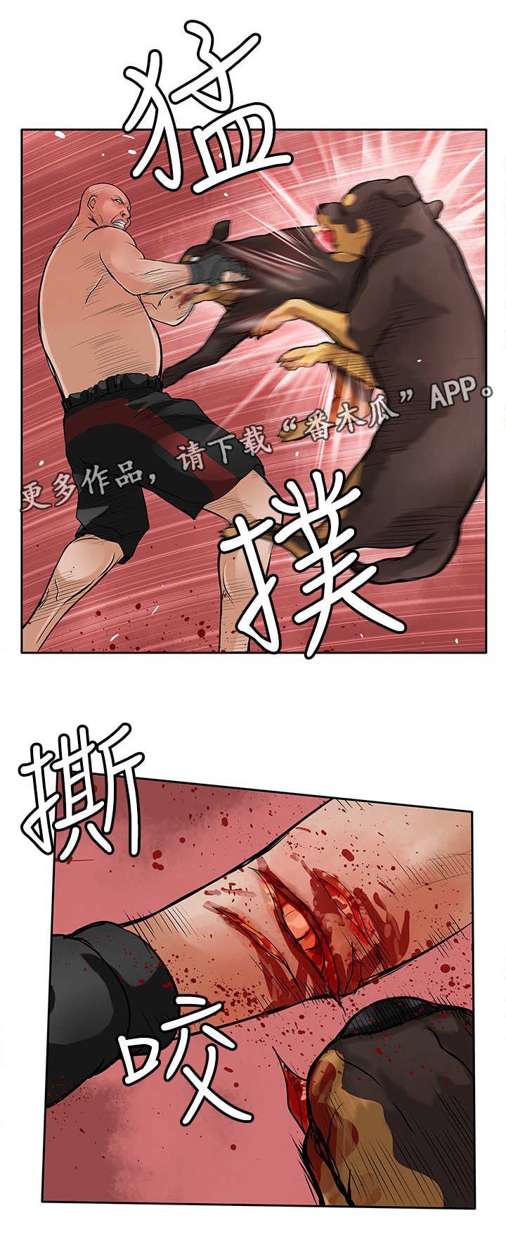 第41章：疯狗