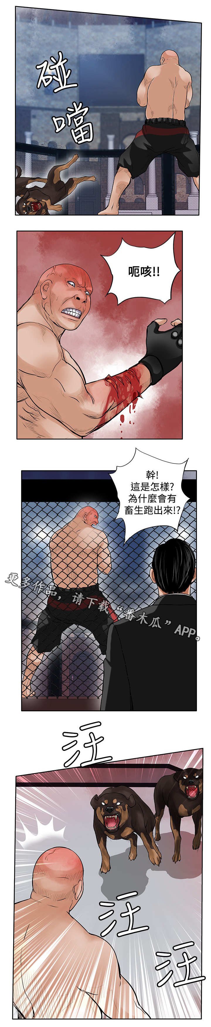 第41章：疯狗