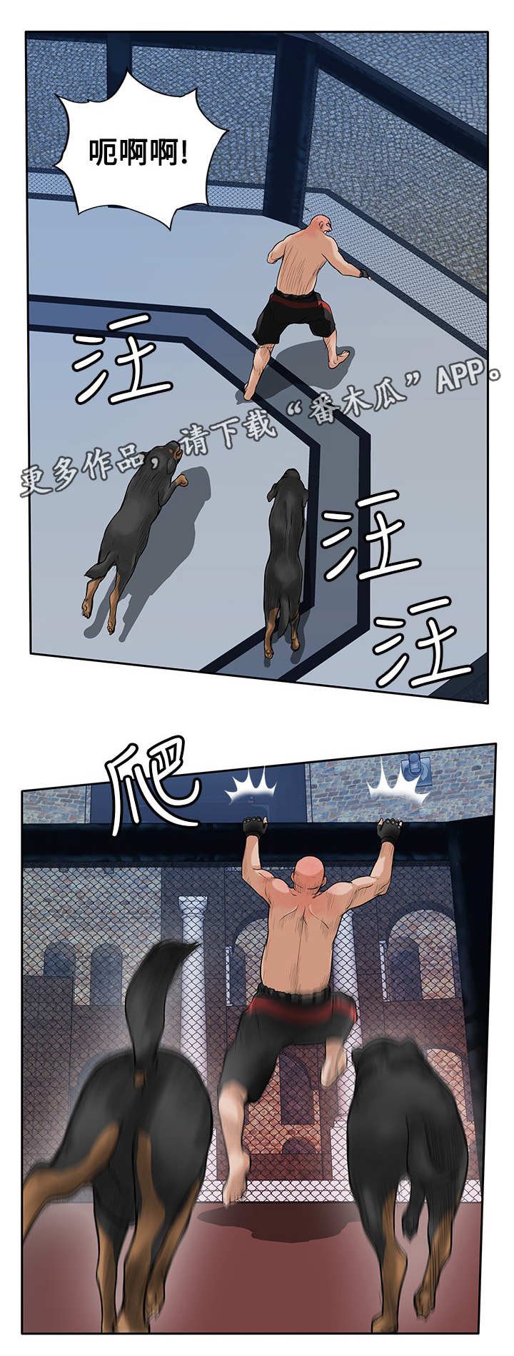 第41章：疯狗