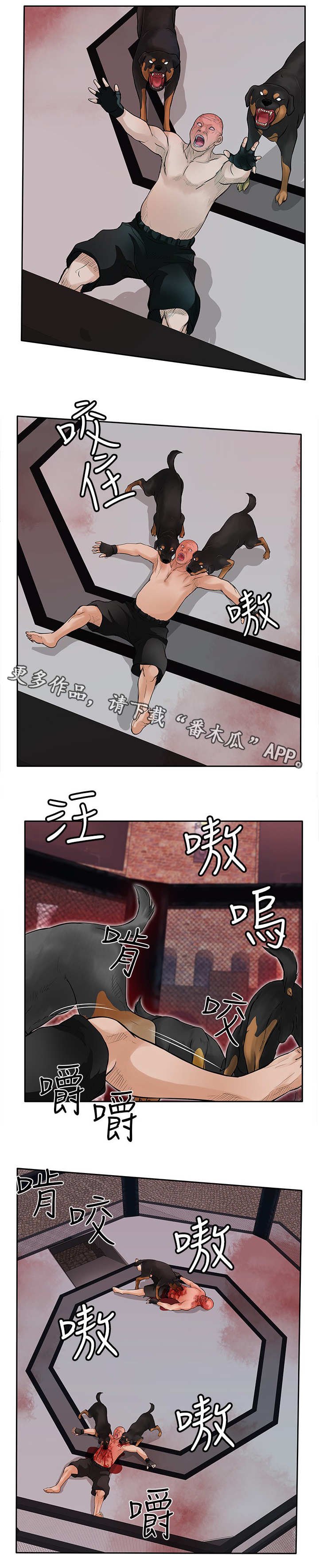 第41章：疯狗