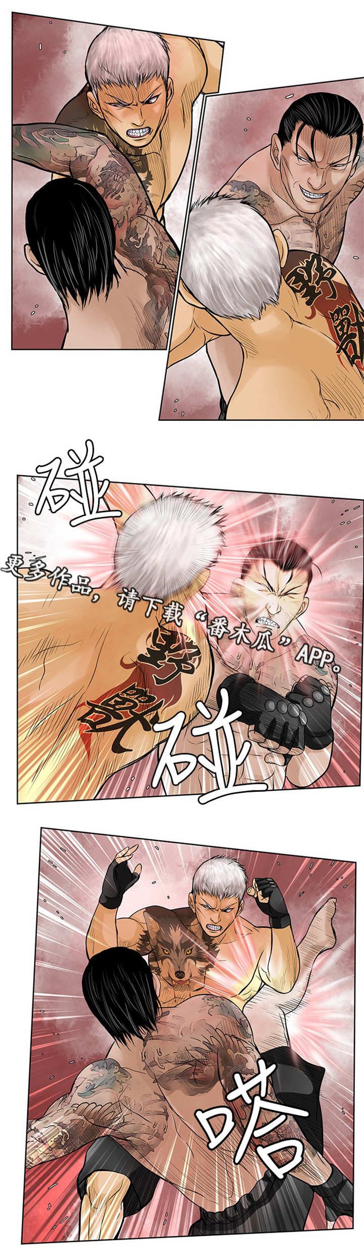第43章：对决