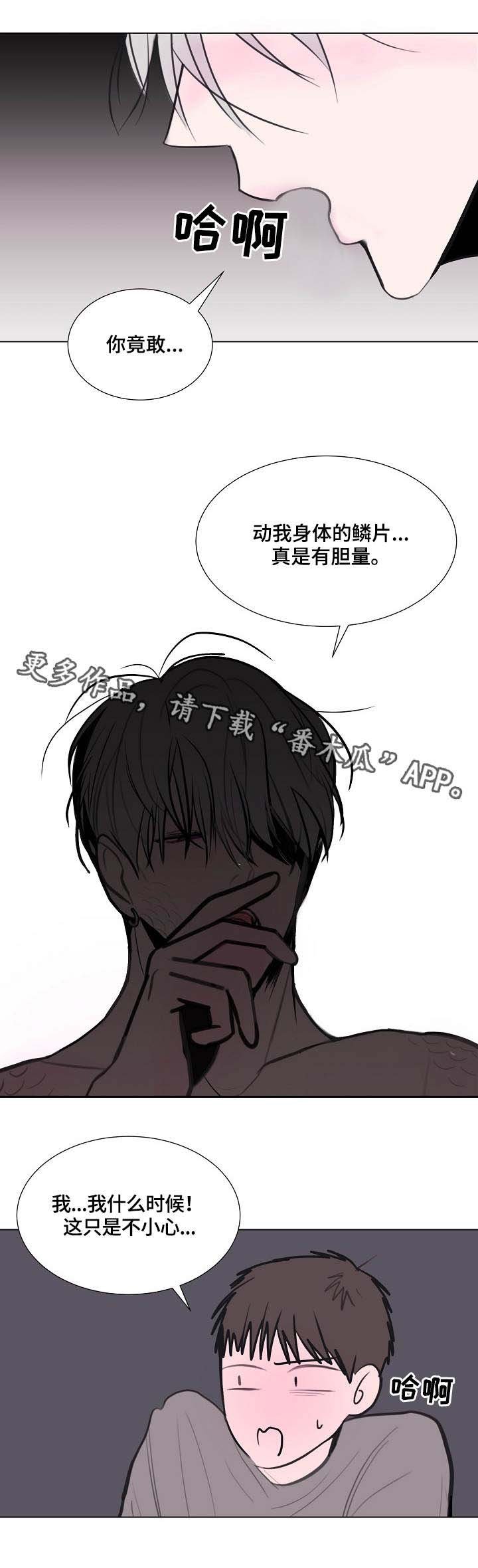 第16章：断片