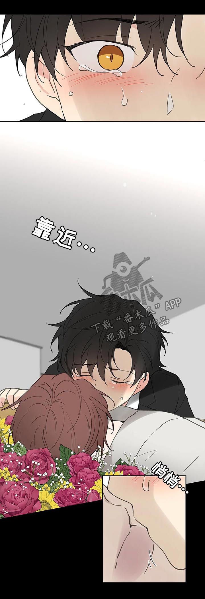 第107章：记忆