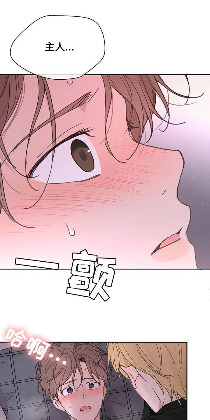 第123章：【番外】可以吧