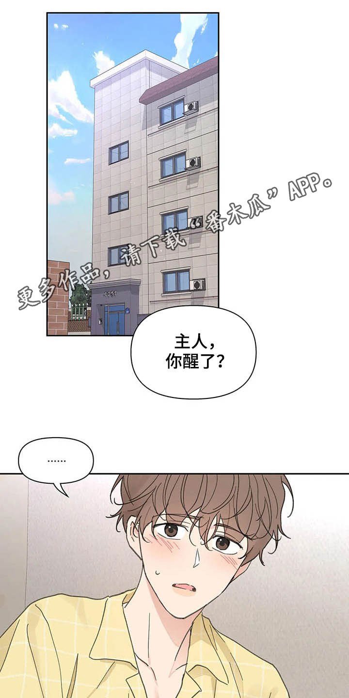 第125章：【番外】重拳