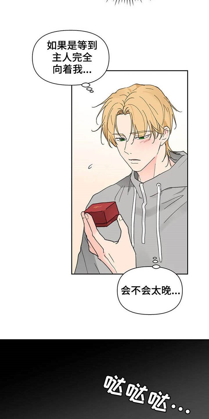 第125章：【番外】重拳