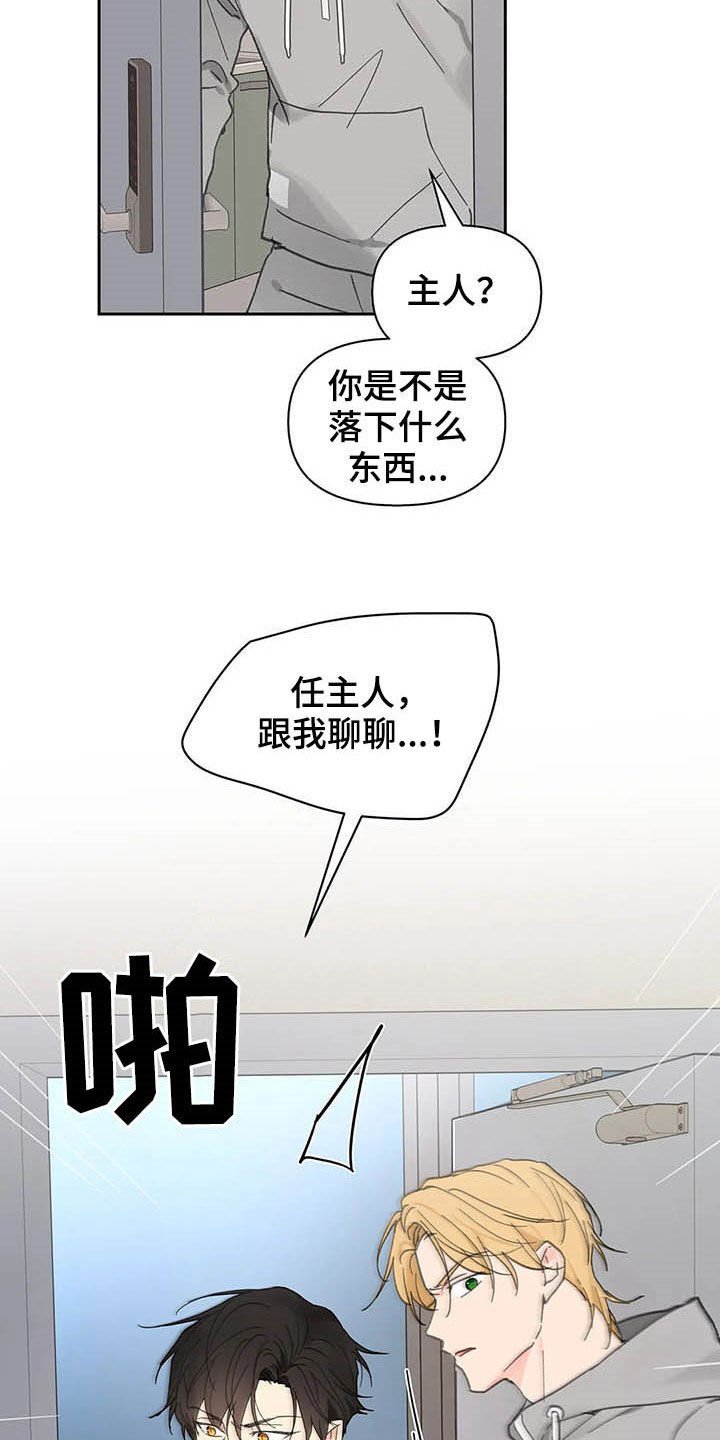 第125章：【番外】重拳