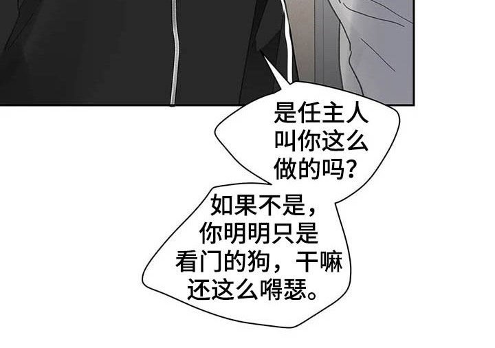 第125章：【番外】重拳