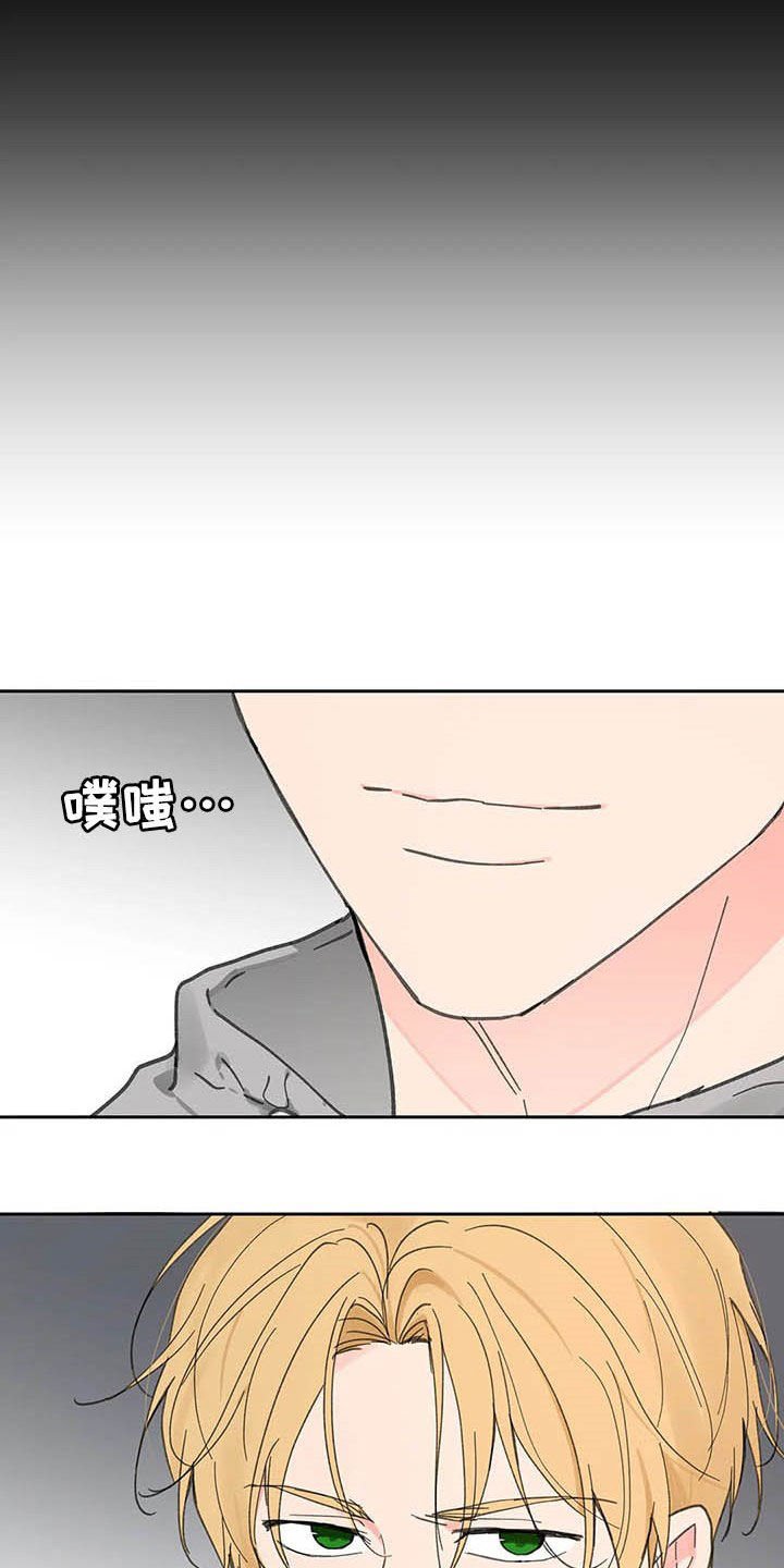 第125章：【番外】重拳