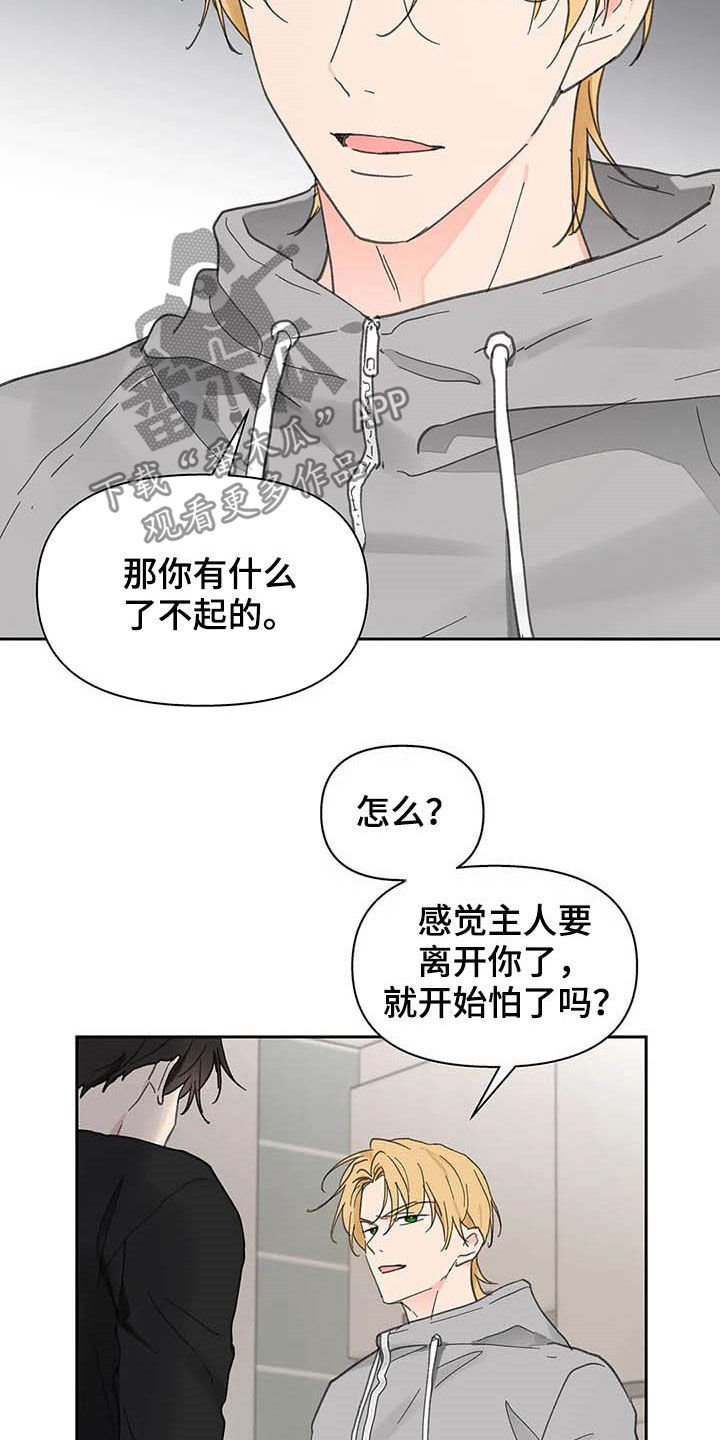 第125章：【番外】重拳