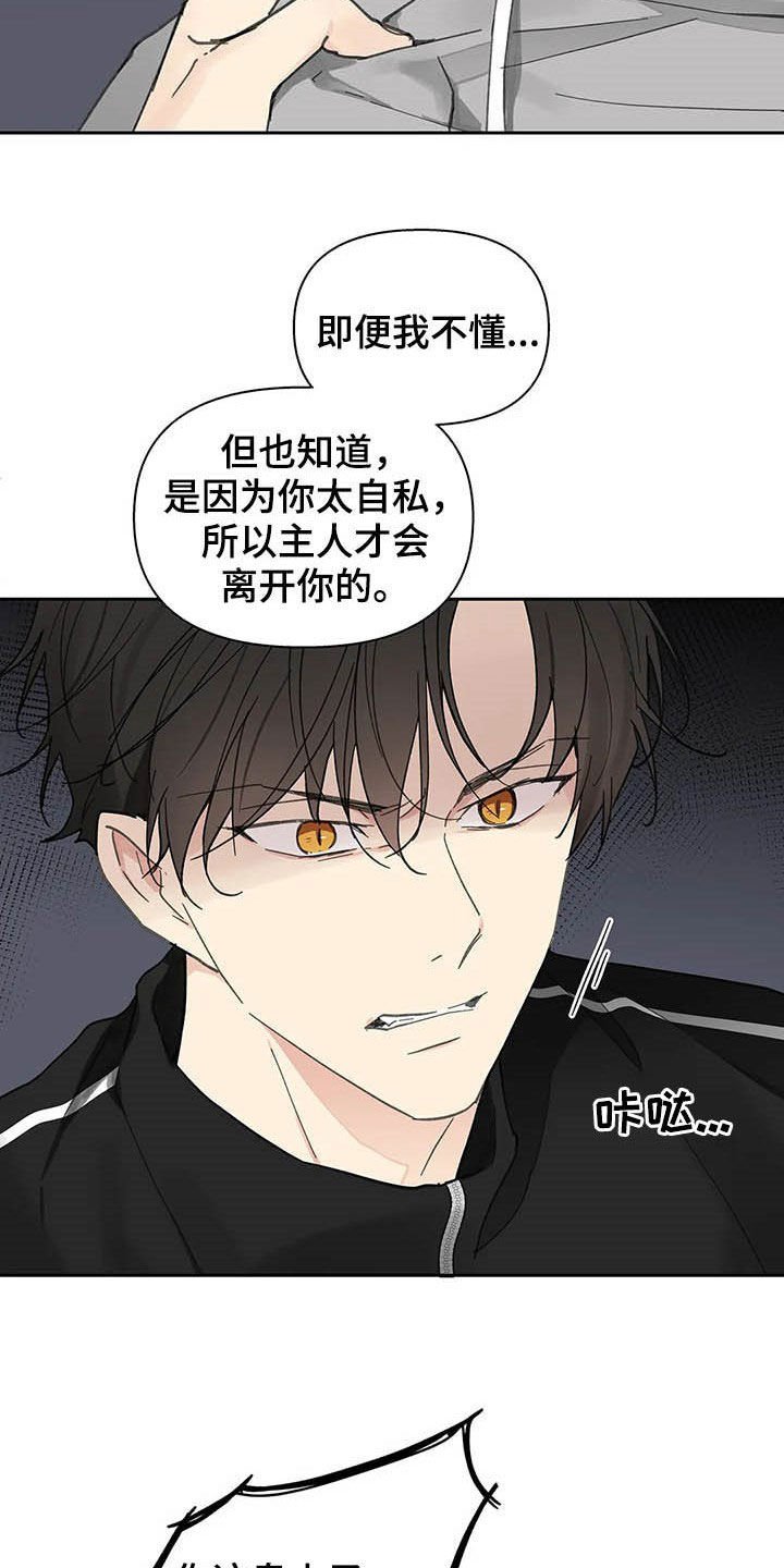 第125章：【番外】重拳