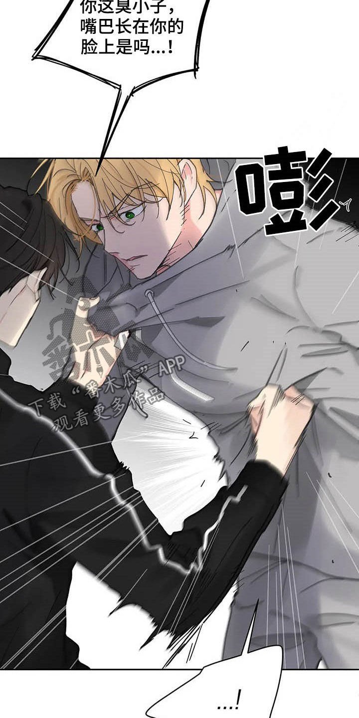 第125章：【番外】重拳