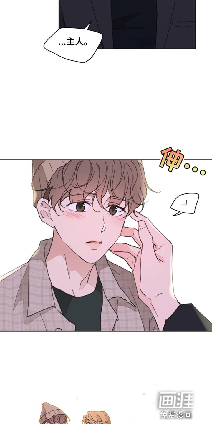 第133章：【番外】总是被吸引