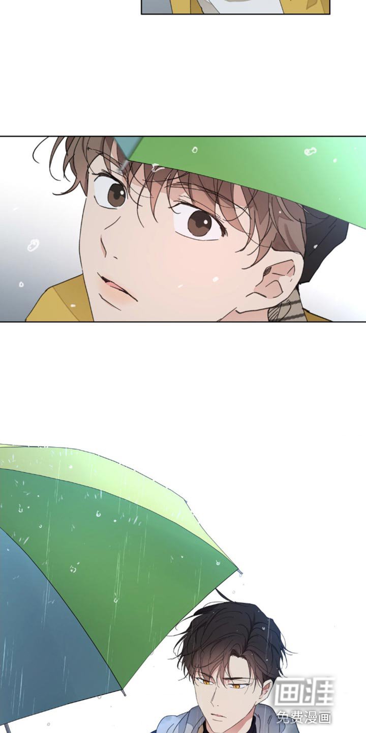第136章：【番外】车祸