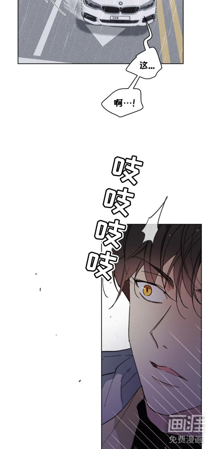 第136章：【番外】车祸