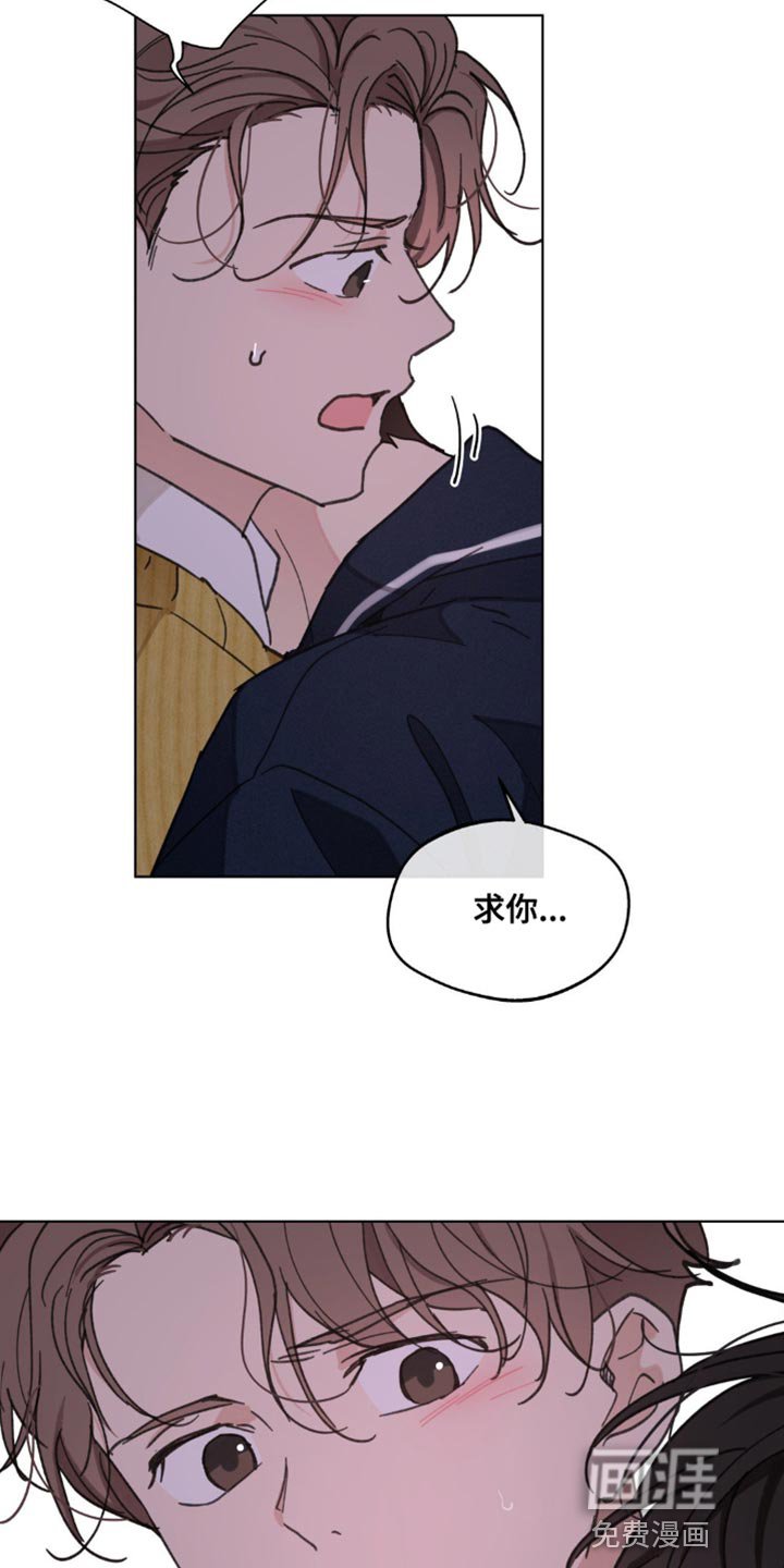 第140章：【番外】求你别走