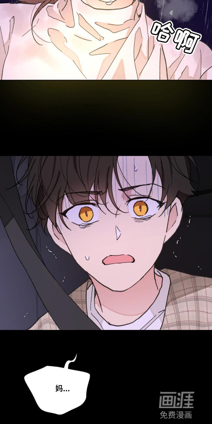 第142章：【番外】惊喜