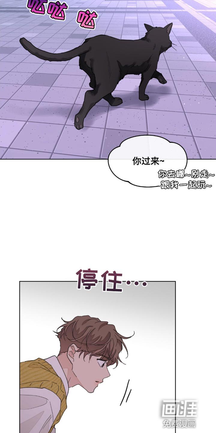 第146章：【番外】绝对不会忘记