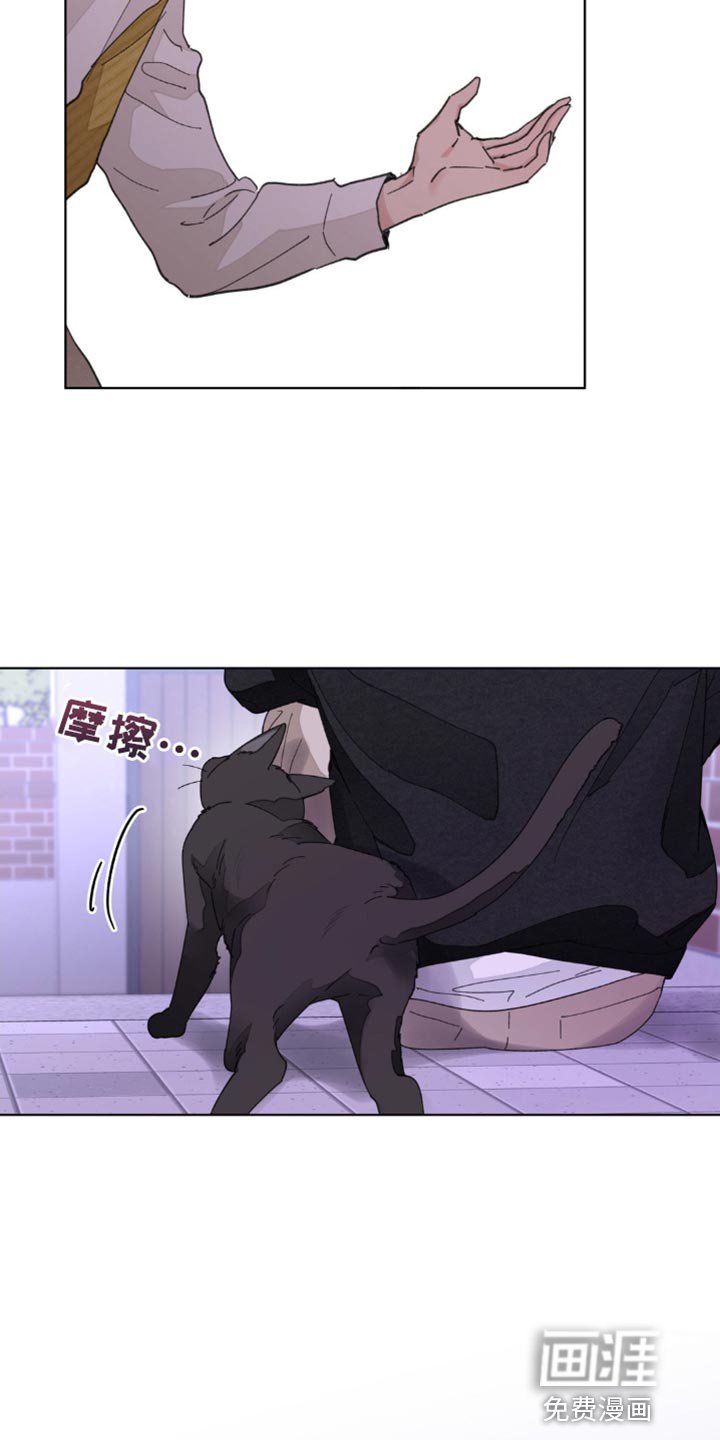 第146章：【番外】绝对不会忘记