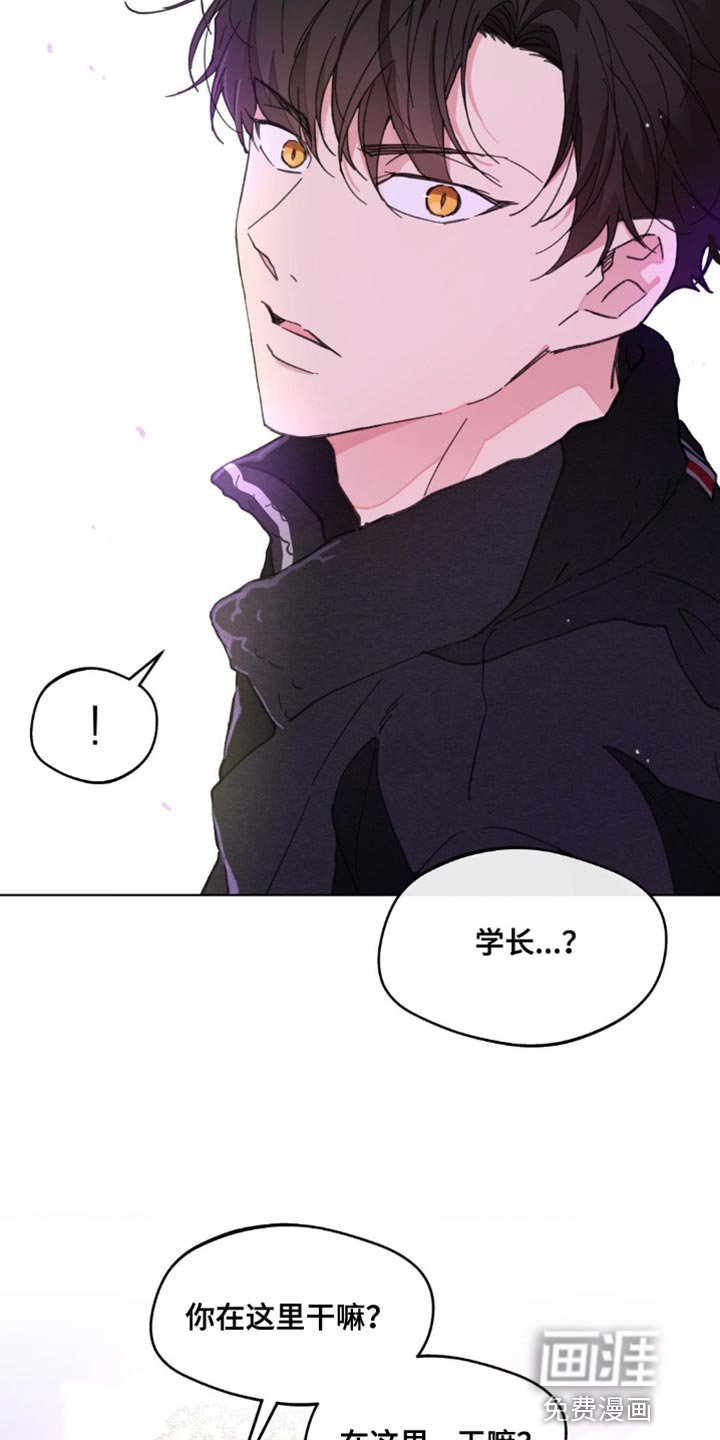 第146章：【番外】绝对不会忘记