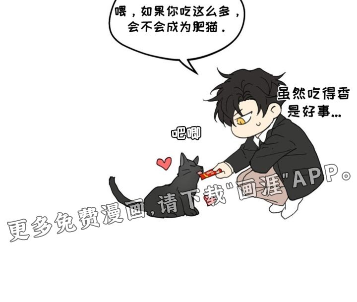 第148章：【番外】该死的情况