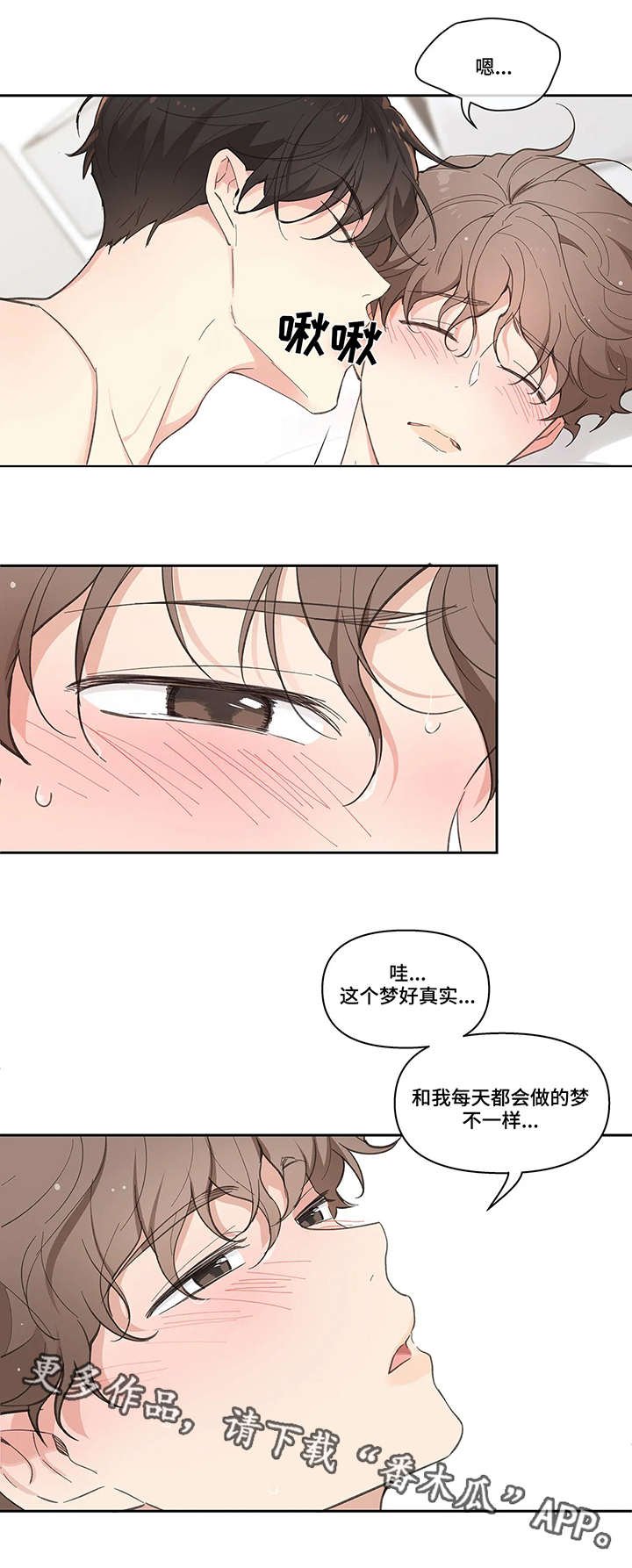 第15章：头疼