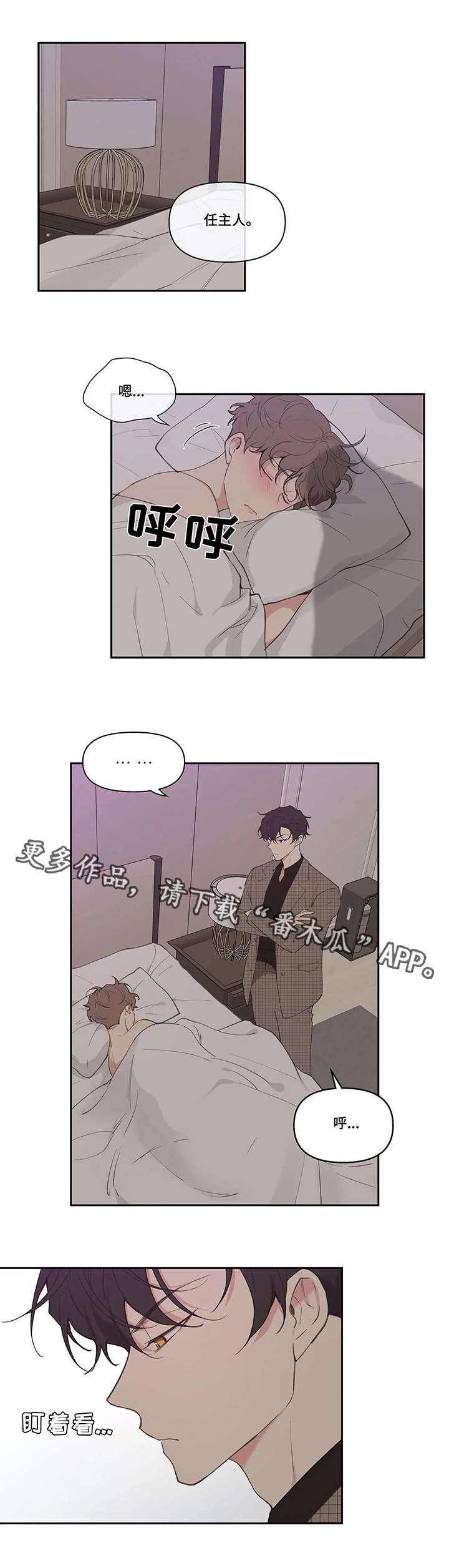 第15章：头疼