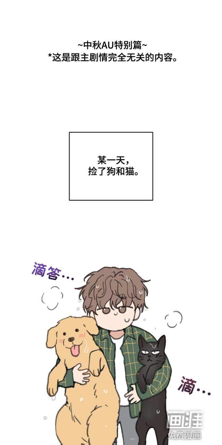 第155章：【番外】小猫