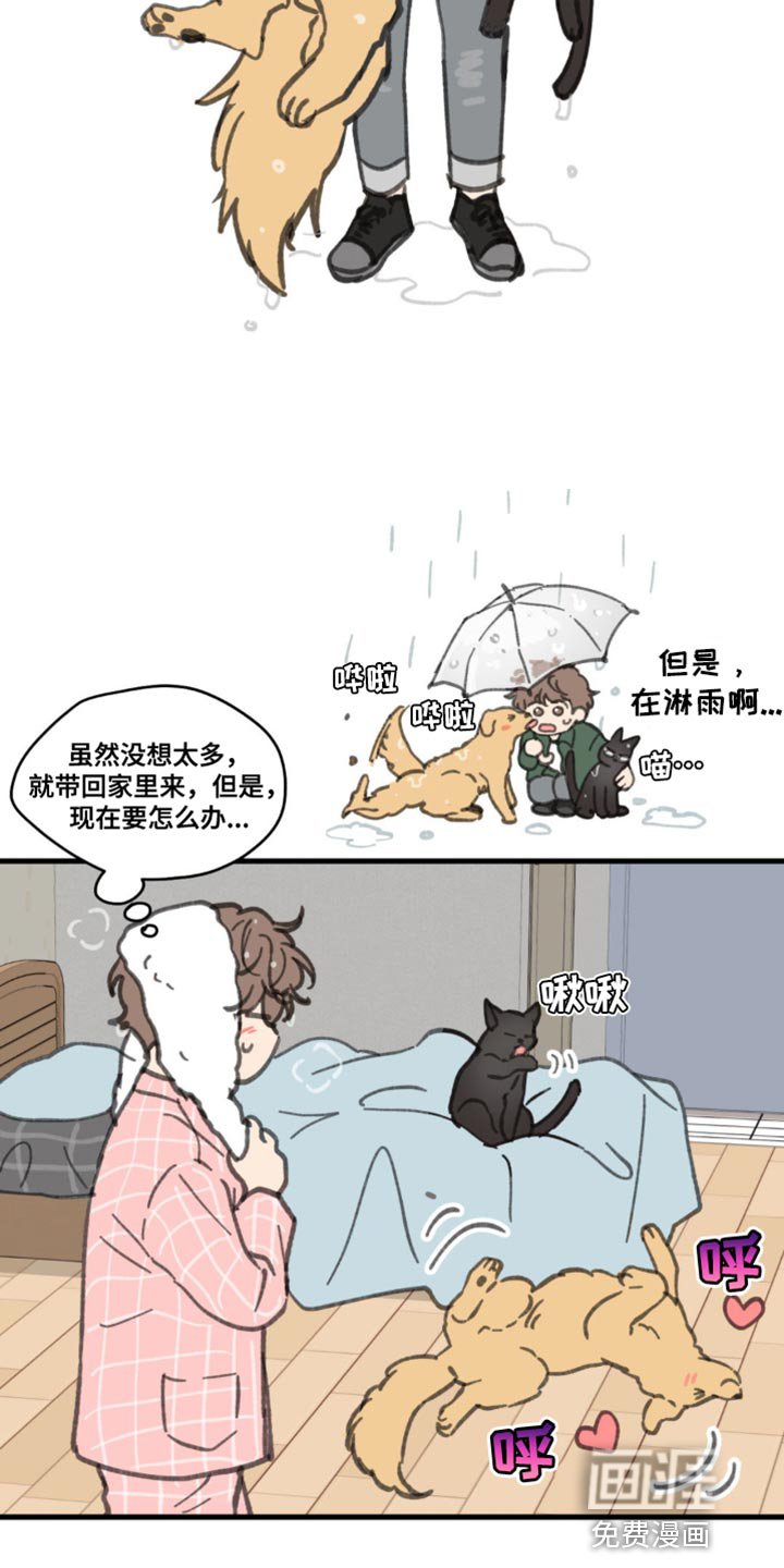 第155章：【番外】小猫