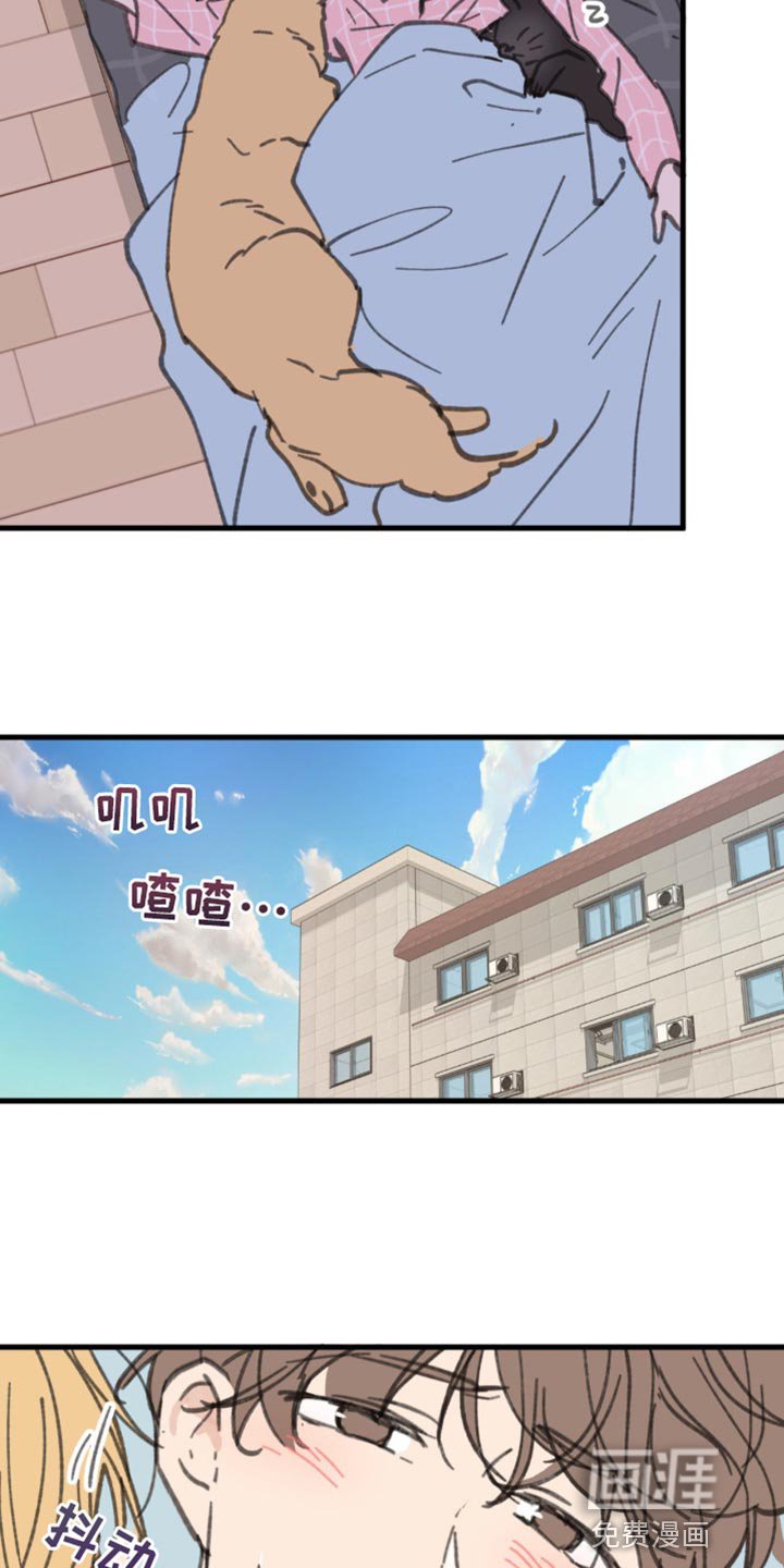 第155章：【番外】小猫