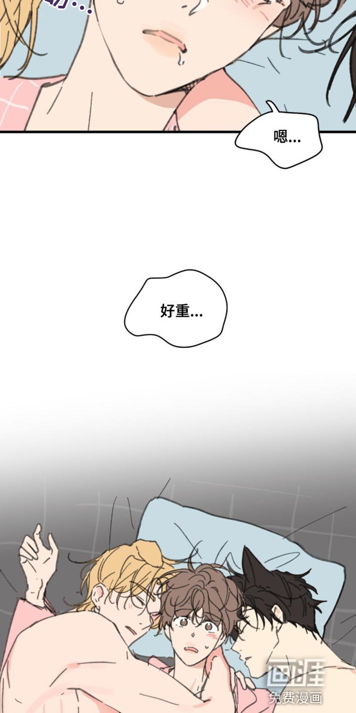 第155章：【番外】小猫