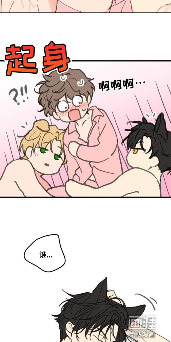 第155章：【番外】小猫