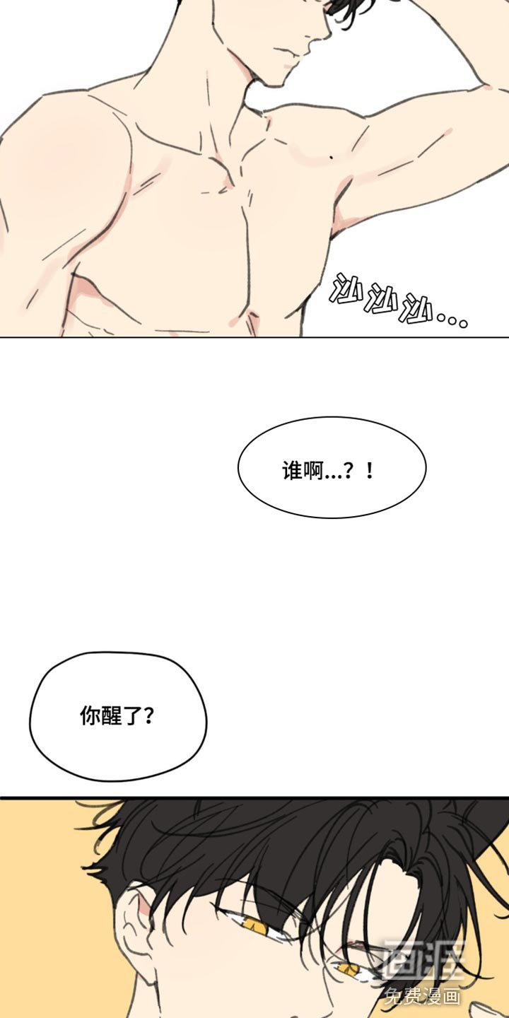 第155章：【番外】小猫
