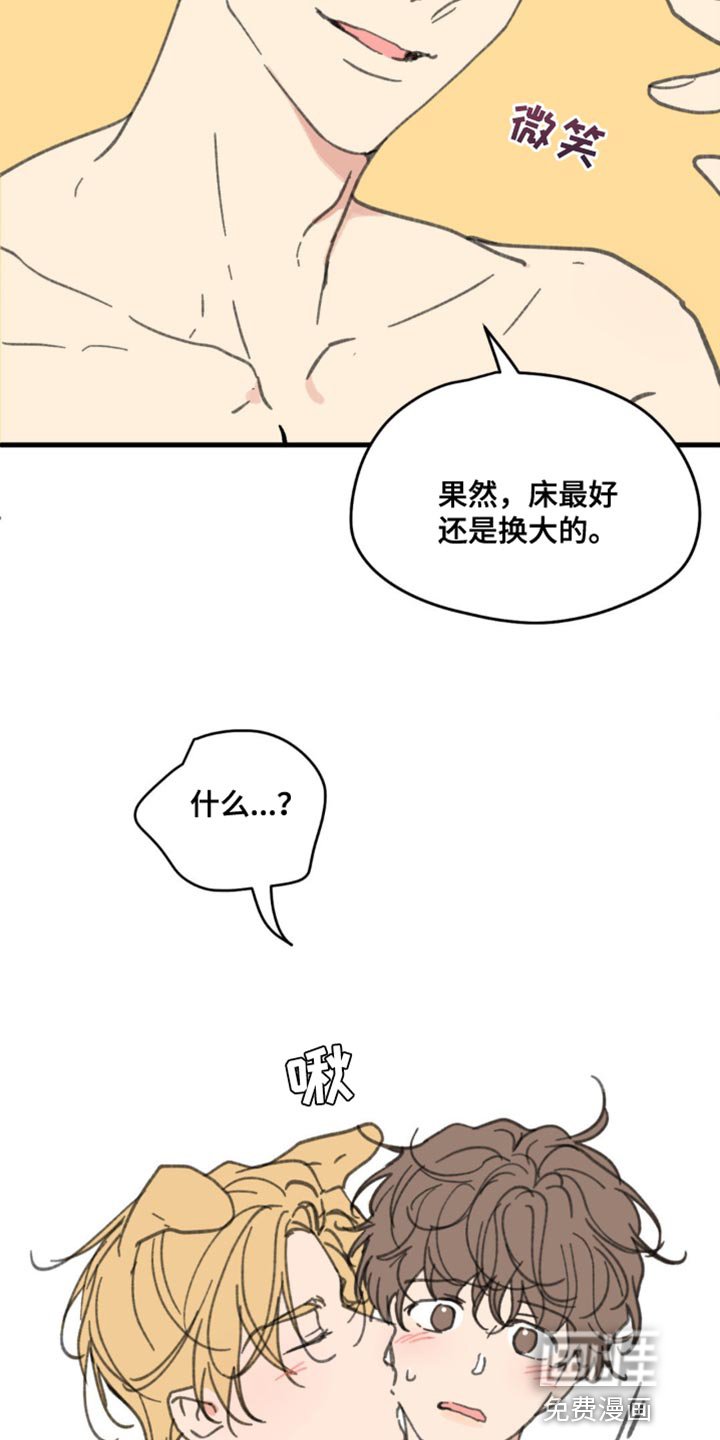 第155章：【番外】小猫
