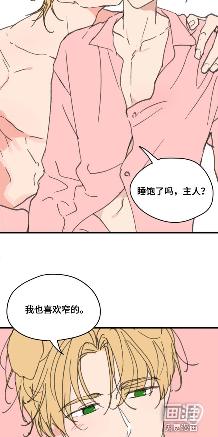 第155章：【番外】小猫
