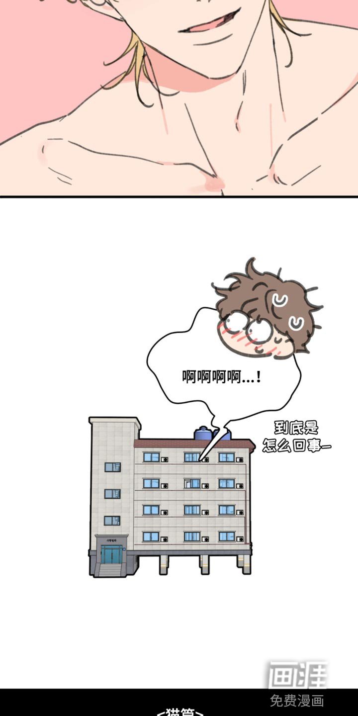 第155章：【番外】小猫