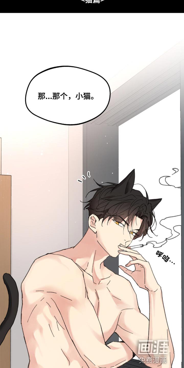 第155章：【番外】小猫