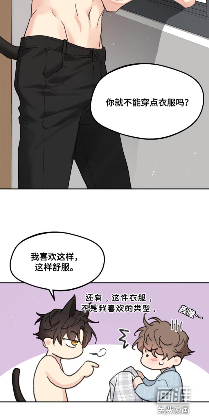 第155章：【番外】小猫