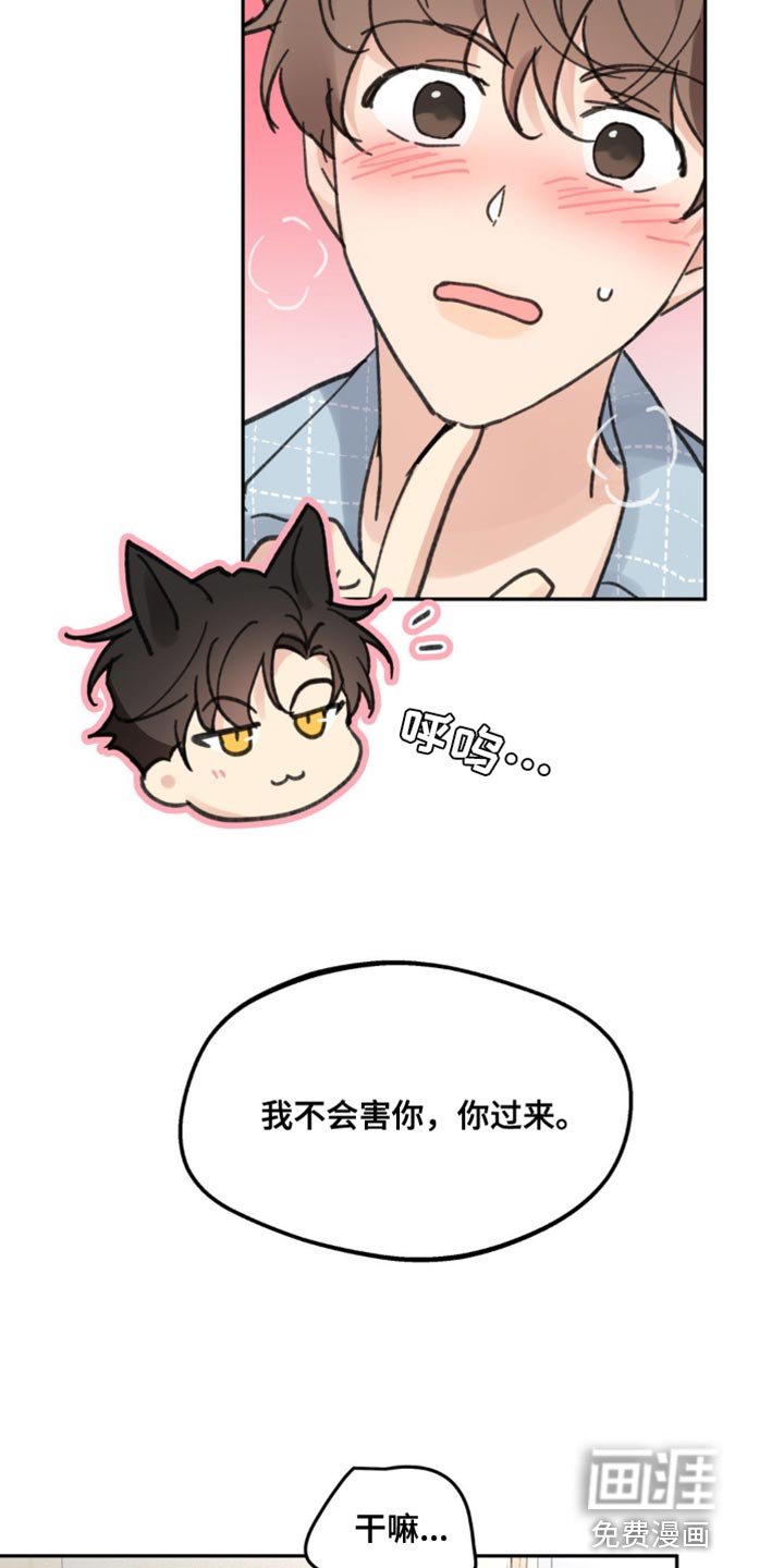 第155章：【番外】小猫
