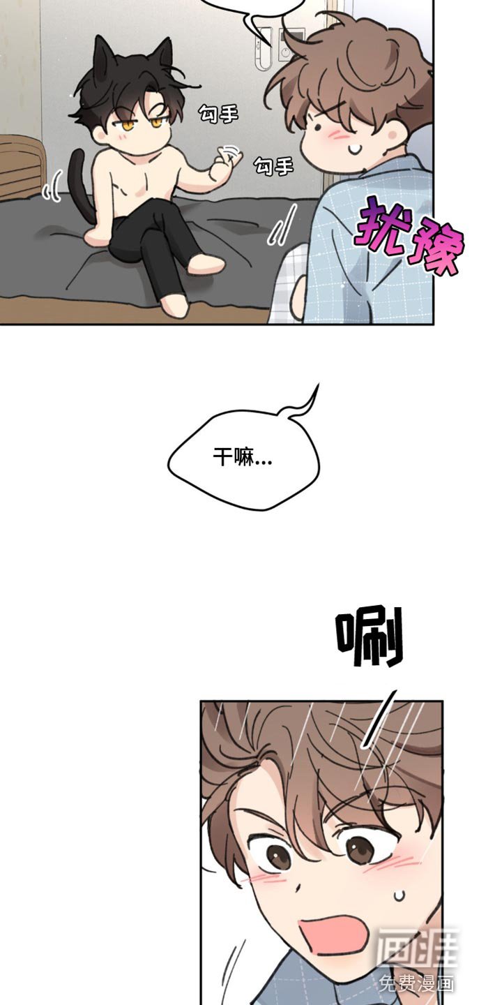 第155章：【番外】小猫