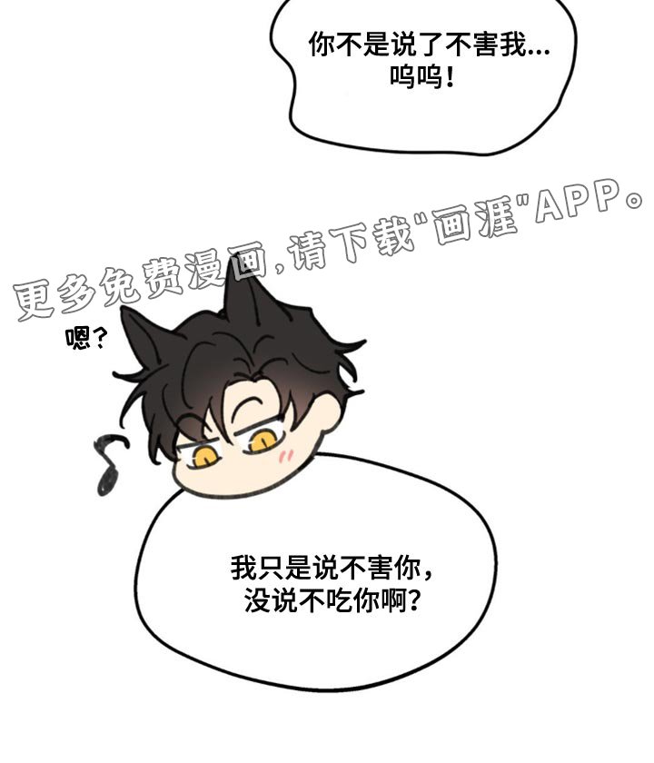第155章：【番外】小猫