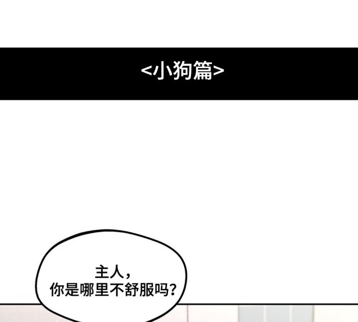 第156章：【番外】小狗
