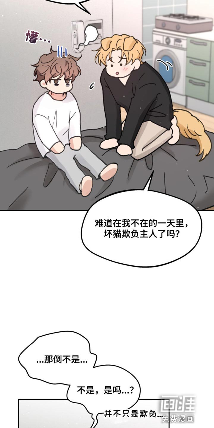 第156章：【番外】小狗
