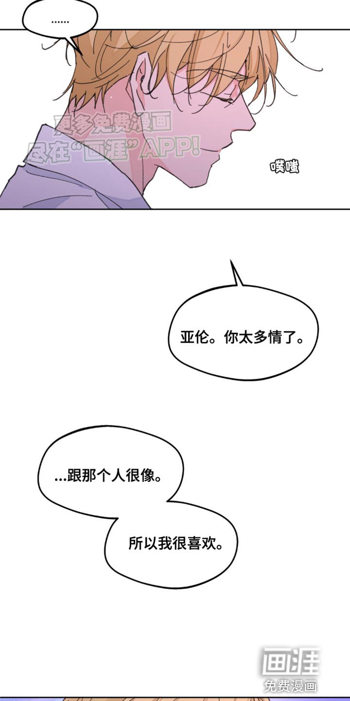 第159章：【番外】你太多情了