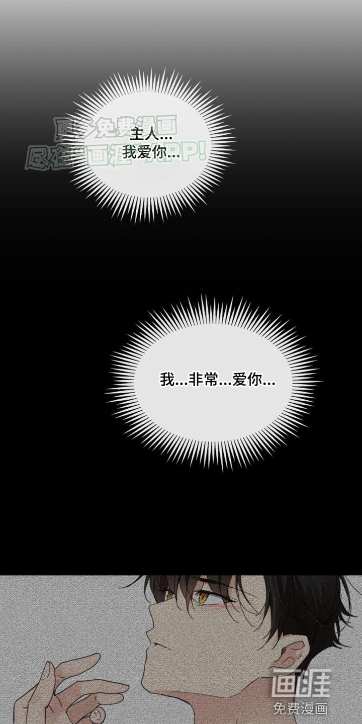 第160章：【番外】宽容