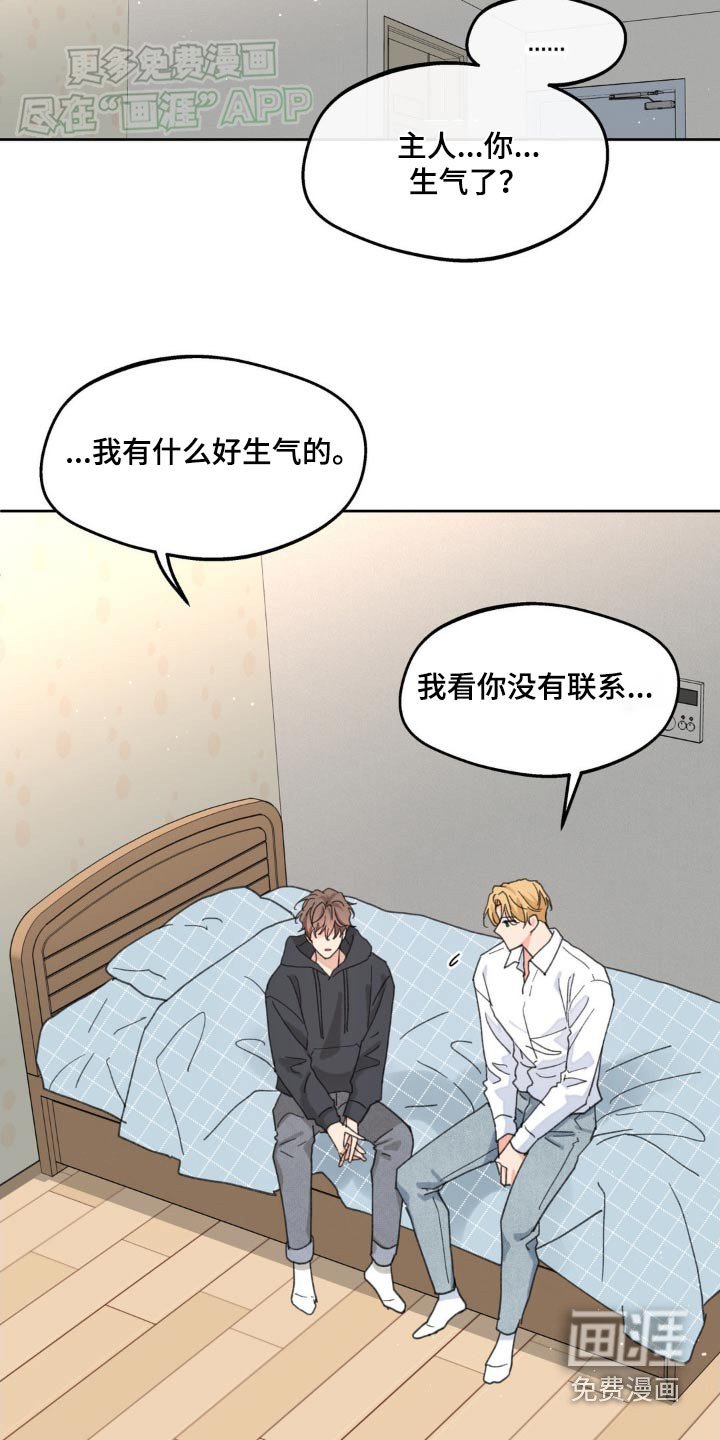 第162章：【番外】算什么