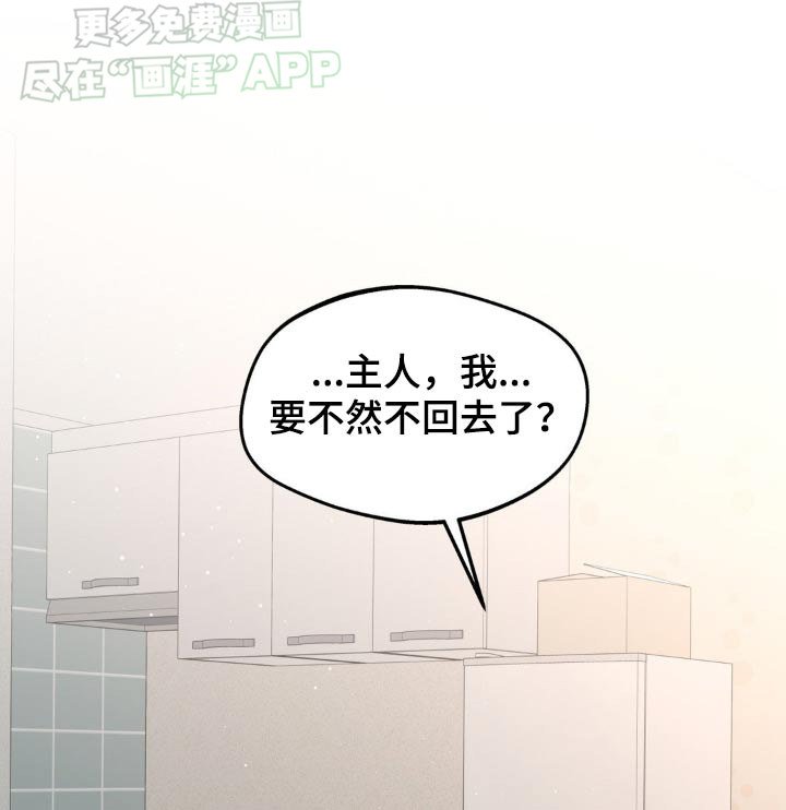 第163章：【番外】你要去哪里