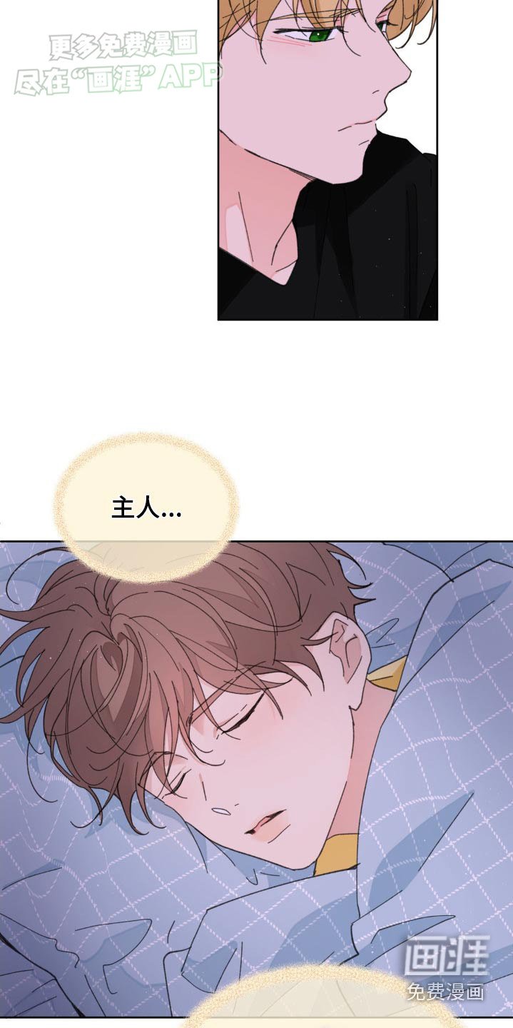 第163章：【番外】你要去哪里